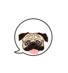 Pug パグ VER2（動く)（個別スタンプ：23）