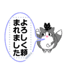 もふねこ「すのー」通信 ＜メッセージ2＞（個別スタンプ：4）