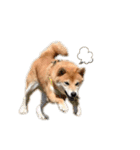 柴犬らむ2（個別スタンプ：28）