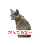 まりもすたんぷ！3(ろしあんぶるーー)（個別スタンプ：3）