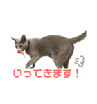 まりもすたんぷ！3(ろしあんぶるーー)（個別スタンプ：10）
