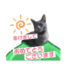 まりもすたんぷ！3(ろしあんぶるーー)（個別スタンプ：16）