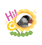挨拶の桜文鳥（個別スタンプ：29）