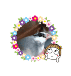 挨拶の桜文鳥（個別スタンプ：39）