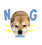 dog  face  the  REON（個別スタンプ：5）