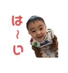 とまちゃんスタンプ公式3（個別スタンプ：4）