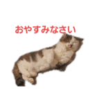 めーざの日常（個別スタンプ：2）