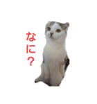 めーざの日常（個別スタンプ：4）