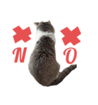 めーざの日常（個別スタンプ：6）