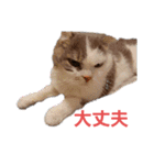 めーざの日常（個別スタンプ：9）