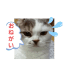めーざの日常（個別スタンプ：10）