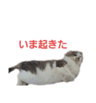 めーざの日常（個別スタンプ：15）