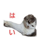 めーざの日常（個別スタンプ：18）