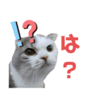 めーざの日常（個別スタンプ：19）