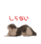 めーざの日常（個別スタンプ：21）