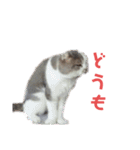 めーざの日常（個別スタンプ：22）