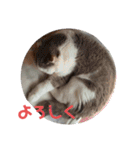 めーざの日常（個別スタンプ：24）