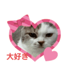 めーざの日常（個別スタンプ：29）