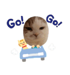 めーざの日常（個別スタンプ：36）