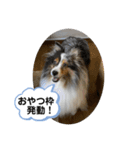 まりんの1日Ver.5（個別スタンプ：1）