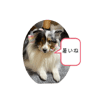 まりんの1日Ver.5（個別スタンプ：3）