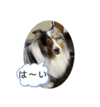 まりんの1日Ver.5（個別スタンプ：4）