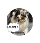 まりんの1日Ver.5（個別スタンプ：5）