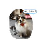 まりんの1日Ver.5（個別スタンプ：6）