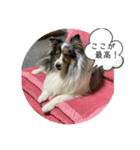 まりんの1日Ver.5（個別スタンプ：7）