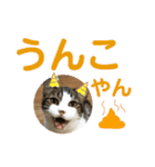 こもじろう♪♪♪（個別スタンプ：1）