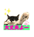 こもじろう♪♪♪（個別スタンプ：3）