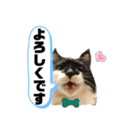 こもじろう♪♪♪（個別スタンプ：4）