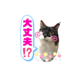 こもじろう♪♪♪（個別スタンプ：8）