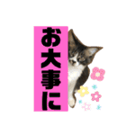 こもじろう♪♪♪（個別スタンプ：11）