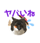 こもじろう♪♪♪（個別スタンプ：13）