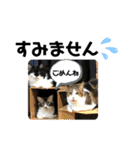 こもじろう♪♪♪（個別スタンプ：19）