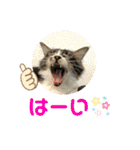 こもじろう♪♪♪（個別スタンプ：23）