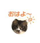 こもじろう♪♪♪（個別スタンプ：24）