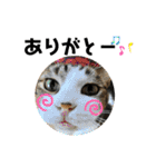 こもじろう♪♪♪（個別スタンプ：30）