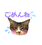 こもじろう♪♪♪（個別スタンプ：31）