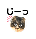 こもじろう♪♪♪（個別スタンプ：32）