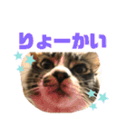 こもじろう♪♪♪（個別スタンプ：35）