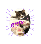 こもじろう♪♪♪（個別スタンプ：37）