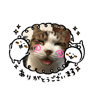こもじろう♪♪♪（個別スタンプ：38）