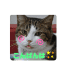 こもじろう♪♪♪（個別スタンプ：39）