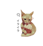 my猫くん（個別スタンプ：14）
