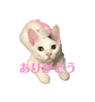 ギンとスズ（個別スタンプ：6）