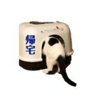 ギンとスズ（個別スタンプ：8）