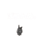ぽこさまの下僕が泣いて喜ぶスタンプ（個別スタンプ：2）