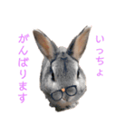 ぽこさまの下僕が泣いて喜ぶスタンプ（個別スタンプ：3）